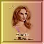 images/avatars/avatar-320.png