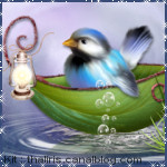 images/avatars/avatar-414.jpg