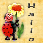 images/avatars/avatar-525.png
