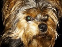 images/avatars/avatar-727.jpg
